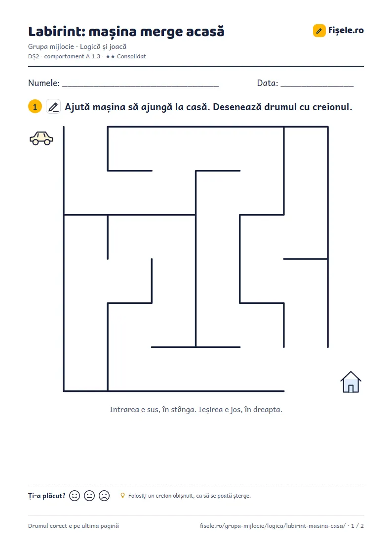 Previzualizare: Labirint: mașina merge acasă