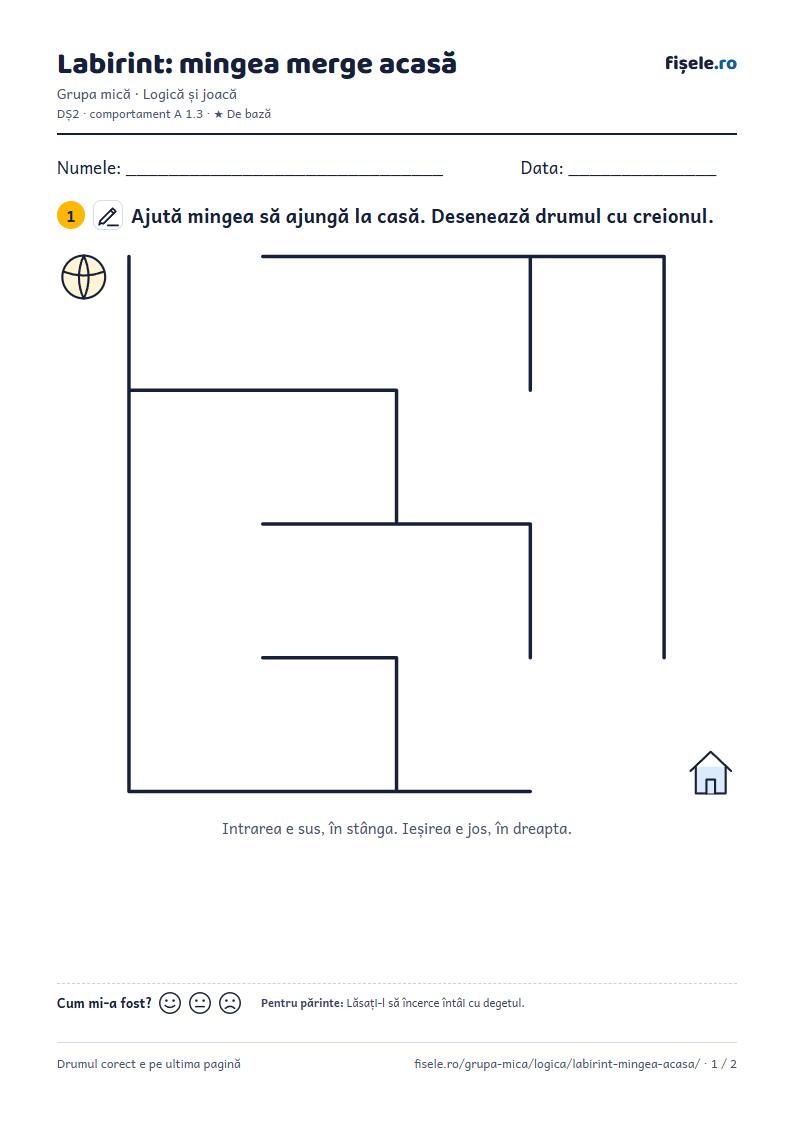 Previzualizare: Labirint: mingea merge acasă